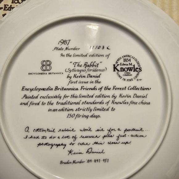 The Rabbit - Picture 2 of 2